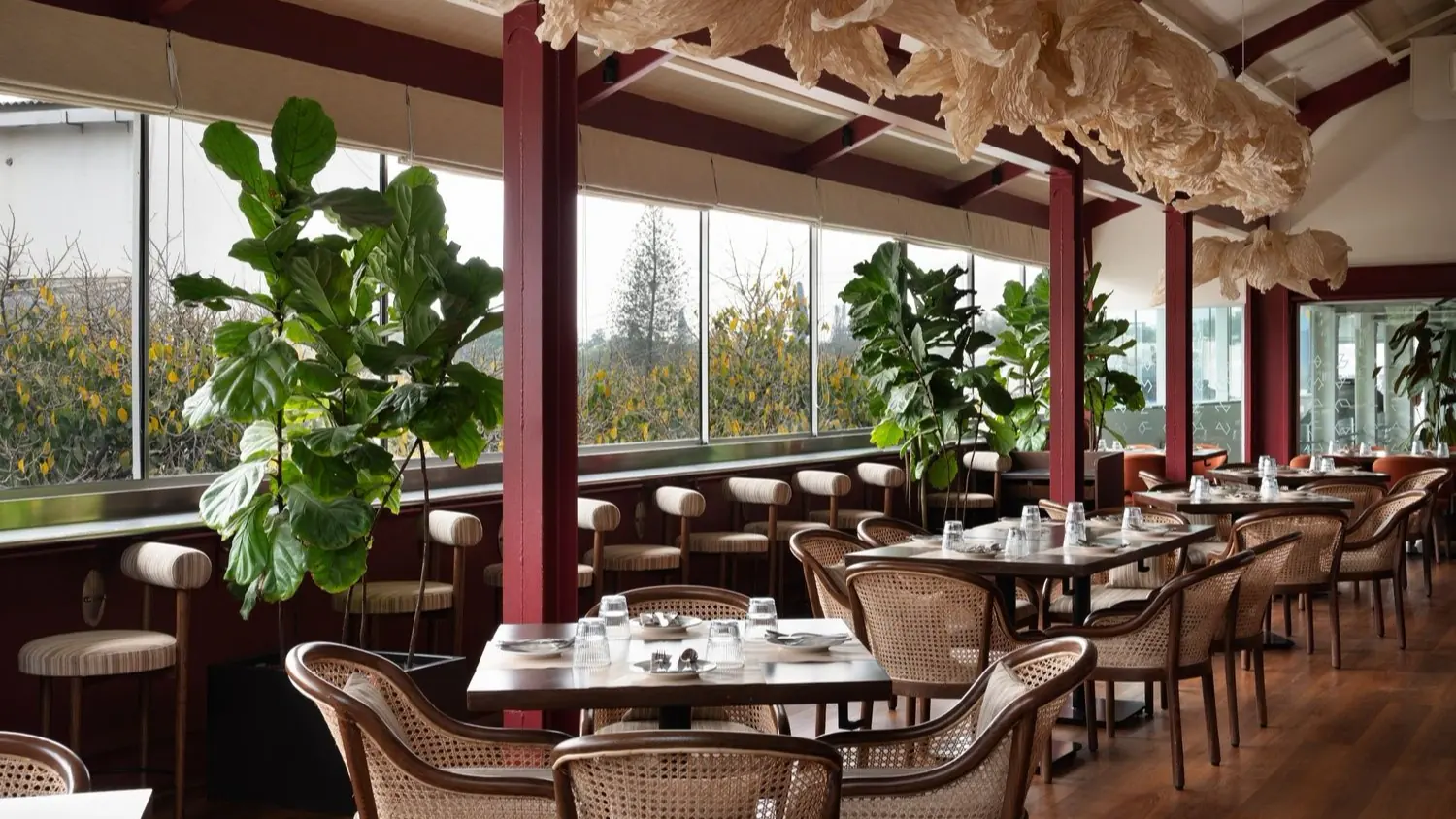 Bistro Cameo, feature image